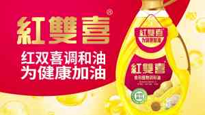 南京、杭州、长春、合肥、哈尔滨多地品牌全案设计服务优质机构推荐
