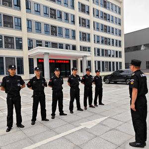 北京临时安保路线、石家庄音乐节安保体验等优质安保服务推荐