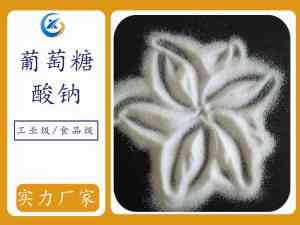 工业与食品用葡萄糖酸钠厂家推荐:聚焦山东诚新化工科技有限公司