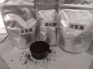 天津反硝化菌种、北京污水处理菌种等高效降解菌种厂商推荐