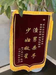 杭州婚姻法律师推荐:聚焦专业能力、成功案例及服务优势深度解析