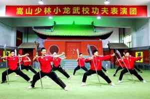权威推荐：河南登封文武学校，登封市少林小龙武术学校实力上