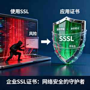 石家庄免费SSL证书维护及多地SSL服务全解析：优质渠道与专业知识介绍