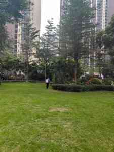 广州佛山病虫害防治优选:专业机构与平台提供多场景解决方案