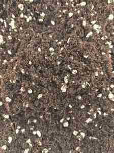 草莓种植专用基质厂家推荐:济南、北京多地优质供应商解析