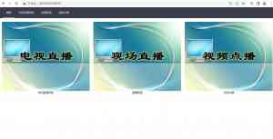 武汉视频点播、海口直播服务及多地相关业务:广州远志资讯科技优质之选