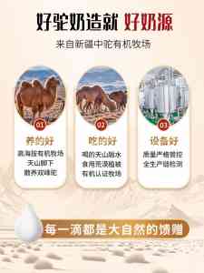 新疆驼乳粉批发供货厂家推荐:中驼等正宗供应商实力之选