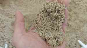 天然海砂生产厂家推荐:贵州水处理海砂、重庆石英海砂等优质供应商