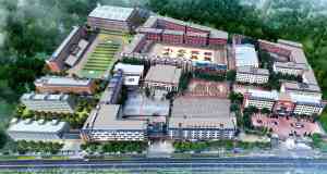 综合实力较强的登封武校推荐:聚焦登封市少林小龙武术学校特色与优势