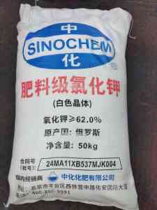食品级、农用、工业氯化钾定制及供货厂家推荐：聚焦郑州62%白晶氯化钾