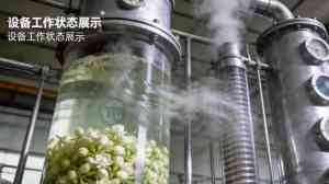 植物芳香油提取设备厂家推荐:玫瑰、茶树精油提取设备源头直供