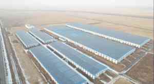 沈阳光伏电站企业推荐:聚焦光伏板施工、系统设计及阳光房品牌厂家