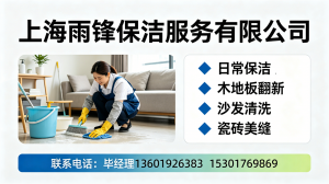 浦东新区、普陀区、嘉定区等地地毯清洗靠谱之选,专业服务等你来