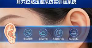 辽宁、吉林、黑龙江、上海、江苏养老保健实训相关系统及机构优质推荐