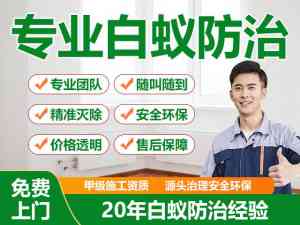 福建同城白蚁防治机构推荐：专业团队与优质服务打造长效防治方案
