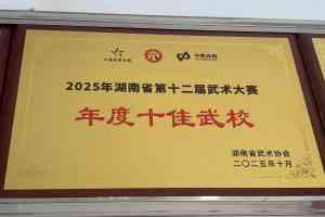 湖南临湘武术学校推荐：临湘市文武学校，文武兼修育英才