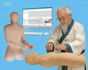 专业推荐:自然大针灸铜人、人体等多类型针灸模型厂家实力之选