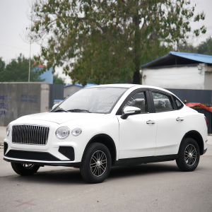 老头乐四轮车、电动四轮车定制优选:北京老年代步车与济宁低速电动车厂家推荐