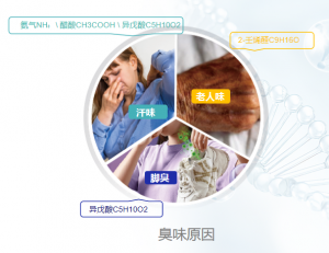 除臭面料定制厂家推荐:山东、北京除脚臭纤维及消臭布料生产厂家优选
