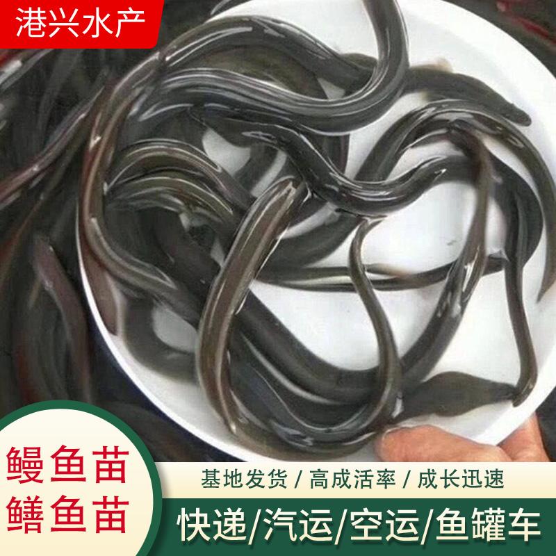 北京动静态应变仪优质厂家推荐:聚焦一洋测试的技术实力与应用案例