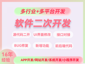 衡水系统二开、邢台手机软件、北京外包及天津设计,河北软件开发服务优选