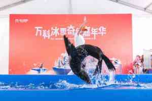 石家庄、天津、河北、北京、唐山海狮租赁及萌宠展览出租优质商家推荐