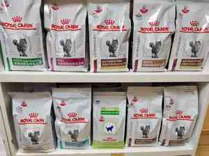 深圳宠物服务品牌推荐:涵盖疫苗、牙科、体检及24小时医院的靠谱之选