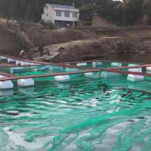 优质网箱厂家供应商推荐:北京天津水产养鱼网箱批发,尼龙网箱优质之选