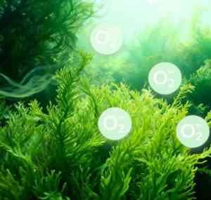 负离子功能布料优质厂家推荐:山东海藻炭泥负离子面料制造商实力之选
