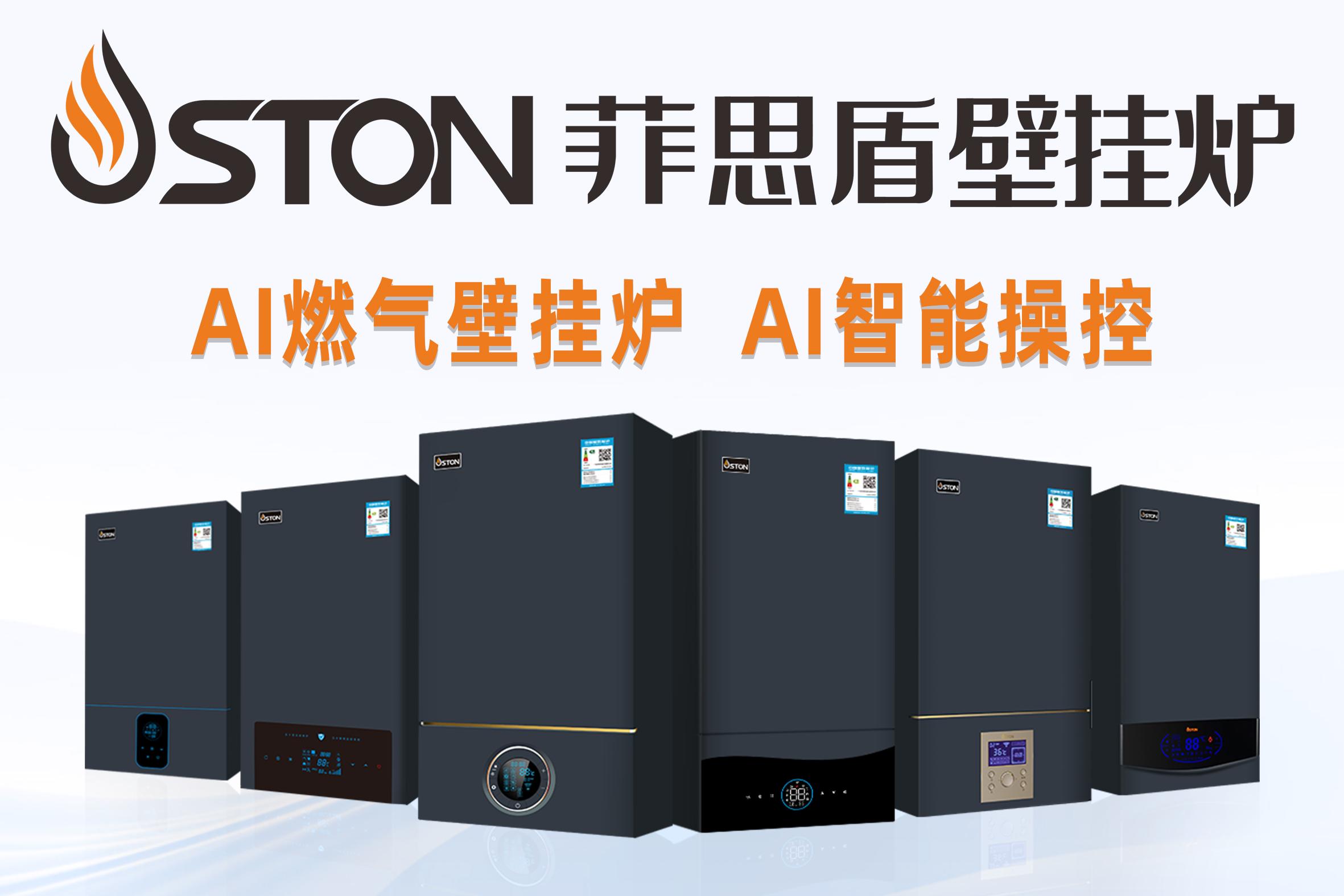 菲思顿壁挂炉图片