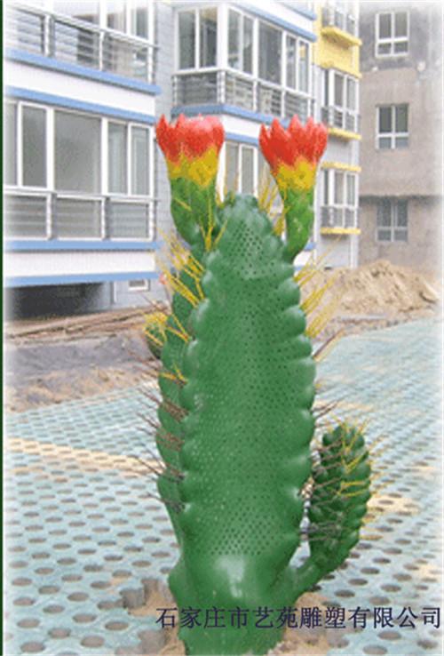 相关图片