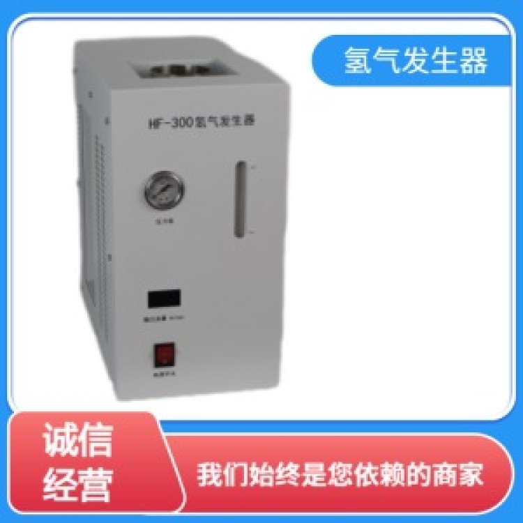 氢气发生器厂家