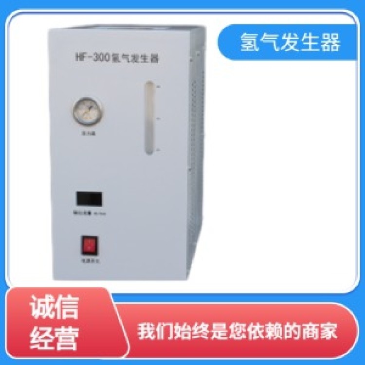氢气发生器厂家