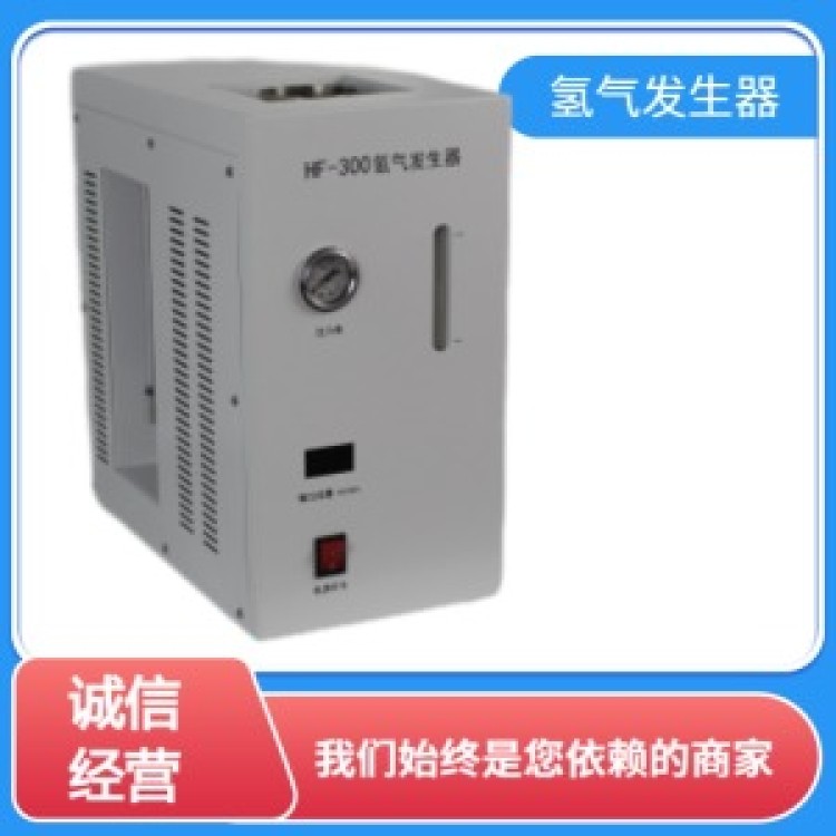 氢气发生器厂家
