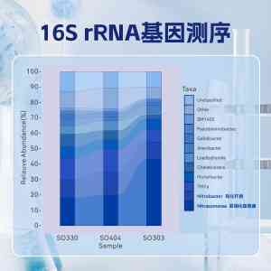 武汉氨氧化细菌等微生物制剂厂家推荐：聚焦水之国环保科技实力解析