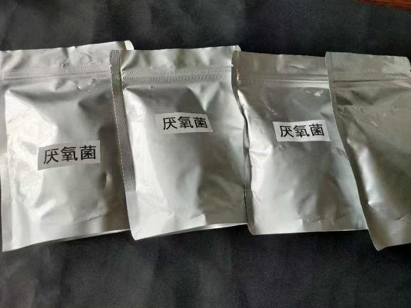 相关图片2