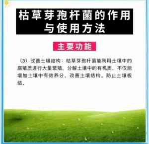 微生物菌剂订制、混合饲料添加剂订做及枯草芽孢杆菌供应厂家推荐