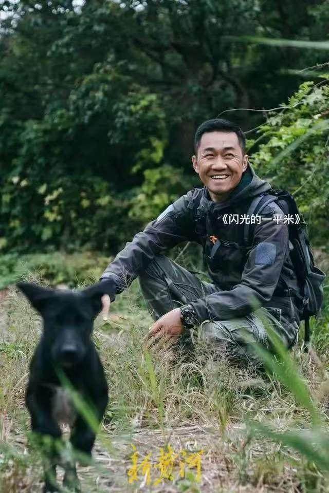 寻宠服务相关图片