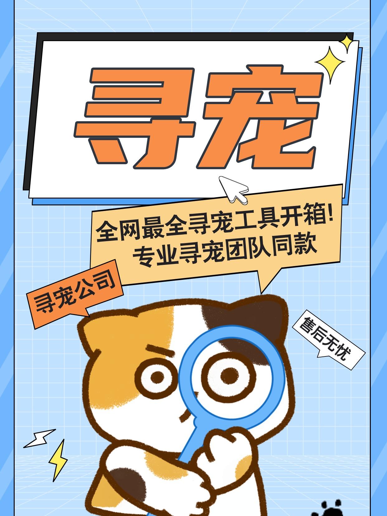 寻宠团队工作图片