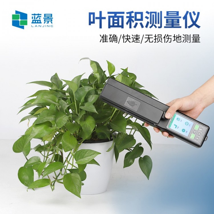 叶面积测量仪