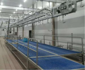 青岛屠宰流水线及全自动屠宰设备优质厂家——青岛中邦昊通机械有限公司