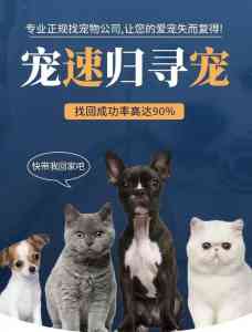 拉萨、海口、成都、昆明、贵阳找狗服务推荐:上海孙锦荣寻宠物服务工作室