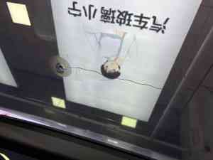 东莞汽车玻璃补漏、炸点、裂纹、坑洼、划痕修复厂家优质推荐