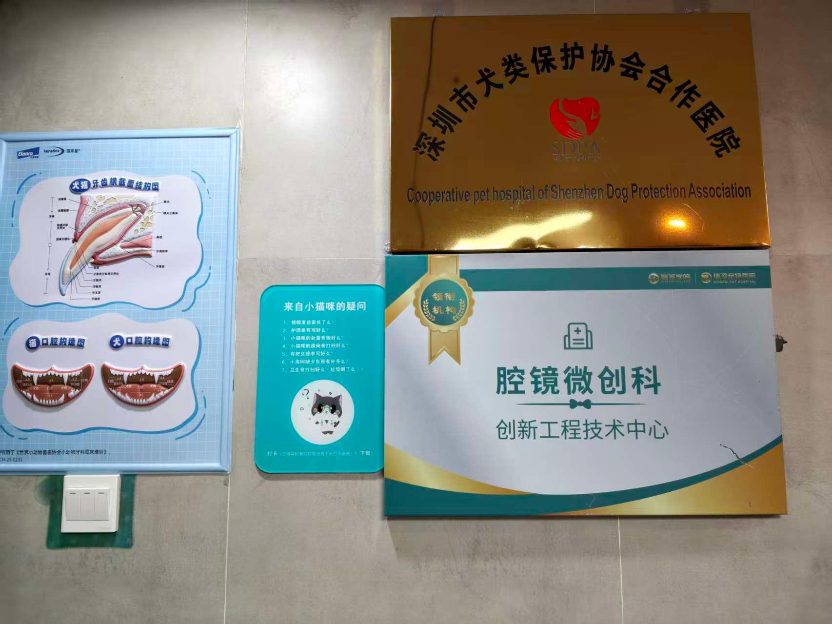 宠物医疗服务图片