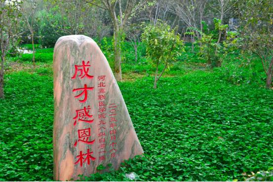 学校教室图