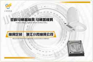 专业推荐!儿童马桶模具、智能马桶模具及马桶盖模具厂家优选