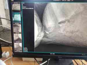 牛马兽用DR、宠物医院兽用DR实力厂家推荐:聚焦河南大动物兽用DR加工厂