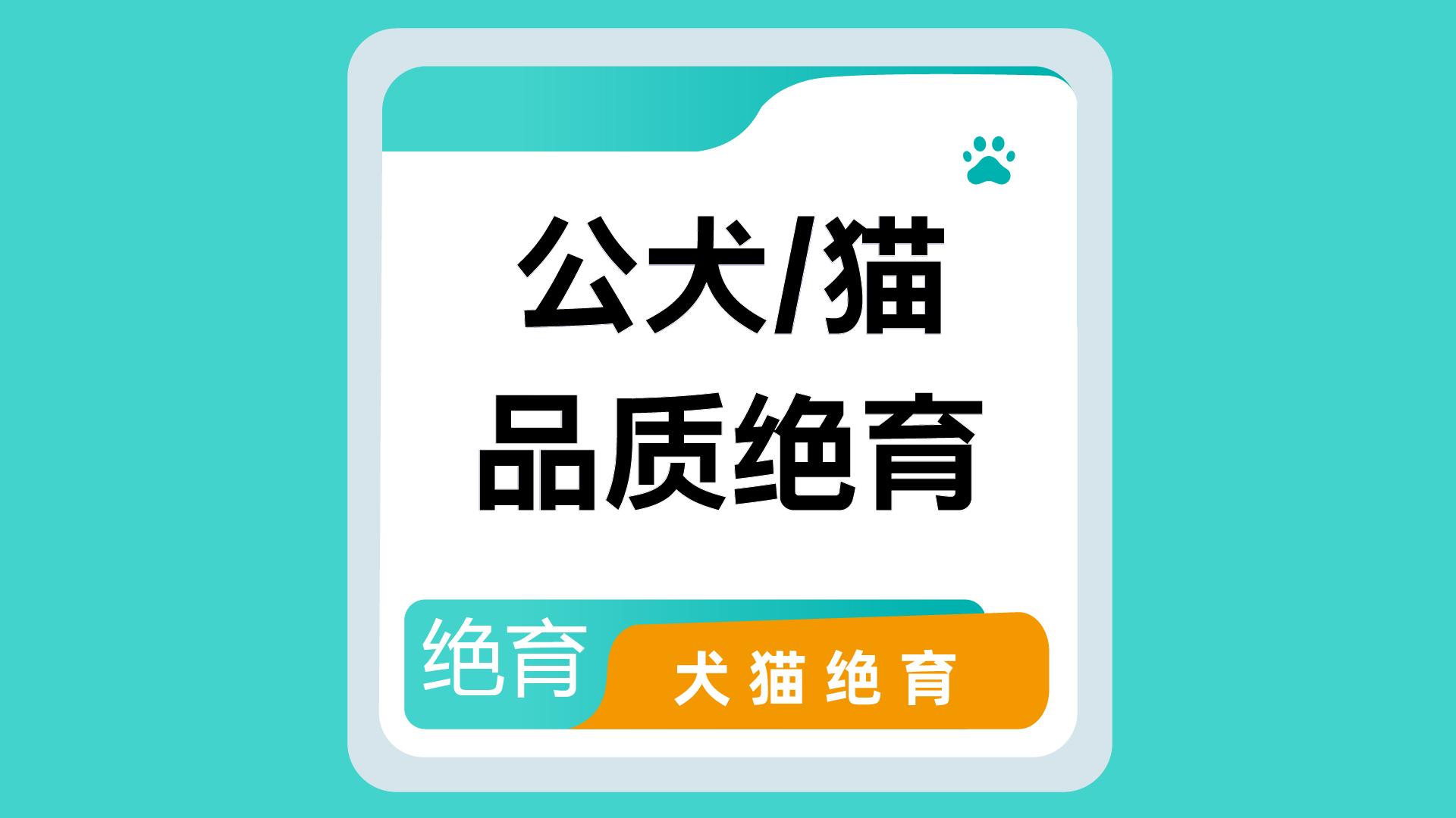 宠物医院相关图片