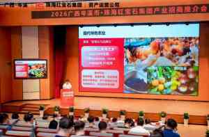 珠海优质行业峰会、活动、培训会等策划服务机构推荐