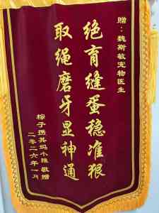 深圳宠物诊疗好去处：宠物牙科、外科、内科等多科服务门店推荐